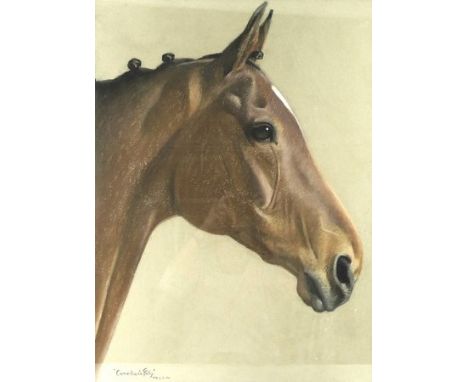 A pastel portrait of the racehorse 'Comedians Folly', initialled and dated P.B. 7.5.62 lower left, 60 by 45cm.