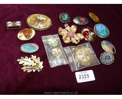 Sixteen various Brooches including Victorian, enamel and costume