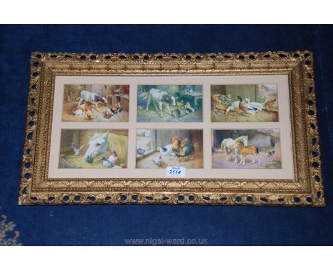 Six single framed Farmyard Prints in gilt ornamental frames