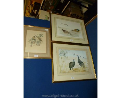 Three South African Bird Prints - limited edition print of Ducks by Priscilla Henry, another of Guinea Fowl by Priscilla Henr