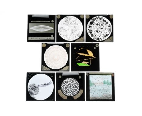 A Good Collection of Magic Lantern Glass Microphotographstaken through the microscope, some by Flatters &amp; Garnett, most w