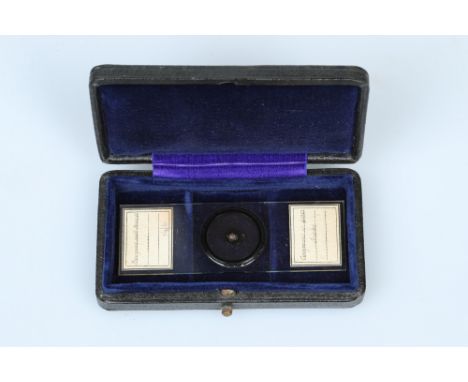 An Exhibition Microscope Slide of Arrange Butterfly Scales,English, c.1900, unsigned but labelled â€˜Bouquet with Insects Com