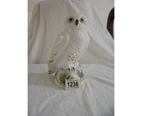 A Crown Staffordshire fine bone china snowy owl on a pine tree log.&nbsp; Signed M.R.T with a K scratched into the base befor
