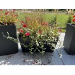(4) Bacs à Fleurs en Bois-Poly-PVC, 31'' x 10'' x 15"''H, Noir, QUANTITÉ X PRIX MISÉ