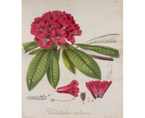 Botany.- Hooker (Sir William Jackson) Exotic Flora, 2 vol. only (of 3), first edition, 173 hand-coloured engraved plates only