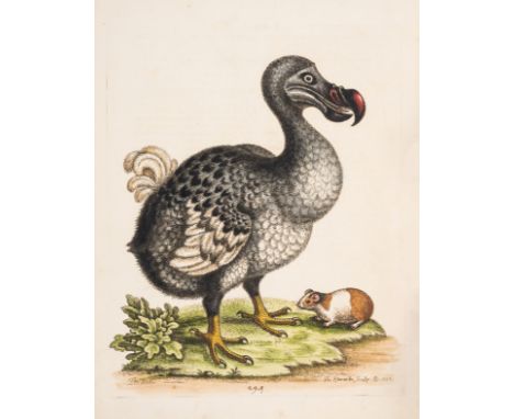 Birds.- Edwards (George) A Natural History of Uncommon Birds, 4 parts in 2 vol., first edition, Printed for the Author, 1743-