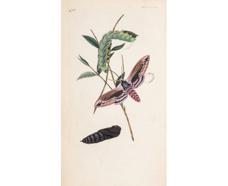 Insects.- Donovan (Edward) The Natural History of British Insects; explaining them in their several states, 4 vol. only (of 1