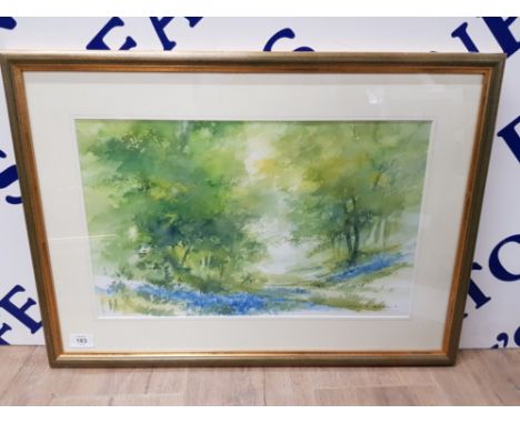 A WATERCOLOUR BY JOHN R HARRIS 'BLUEBELL WOODS' SIGNED 30 X 48CM