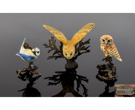 Albany Worcester Fine Quality Miniature Hand Painted Porcelain Bird Figures ( 3 ) Perched on Bronze Branches. Comprises 1/ Bl