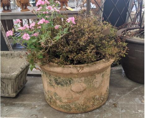 TERRACOTTA PLANTER, with plant display, 76cm H approx in total. 