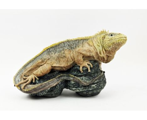 JILL MOGER IGUANA CERAMIC SCULPTURE, signed and numbered 2/09, 45cm L x 25cm H. 