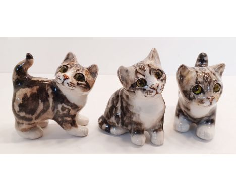 3 WINSTANLEY No.1 TABBY KITTENS