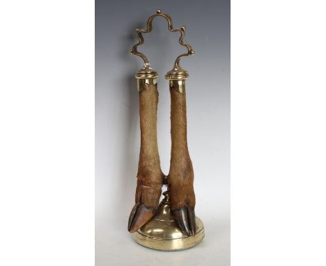 A 19th century brass and taxidermy door porterm shaped carrying handle above two deer hooves and fetlocks, demi-lune lead-wei