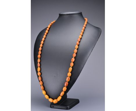 A long strung graduated amber bead necklace with metal spring ring clasp. Beads approx. 10-20mm. Total length approx. 98cm. W