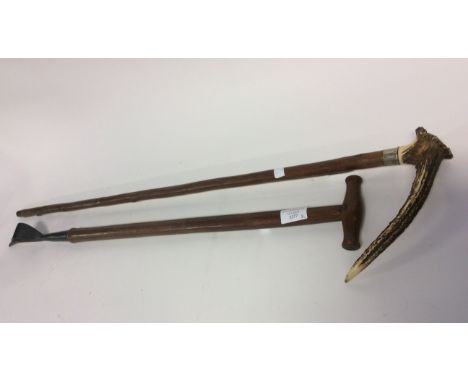 An Edwardian squire stick and a stag antler handle walking cane (2)