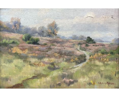 Edith Brearey Dawson (née Robinson) (British 1862-1928): Stream in the Moors, oil on canvas laid onto board signed 17cm x 24c
