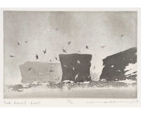 Norman Ackroyd CBE, RA (1938-2024) "The Anvil - Noss"Signed and dated (20)18, inscribed and numbered 55/90, etching, 22.5cm b