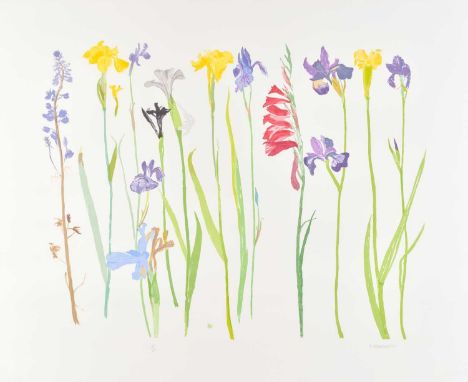 Dame Elizabeth Violet Blackadder DBE, RA, RSA (1931-2021) Scottish"Wild Flowers" (2013)Signed and numbered 45/65, screenprint