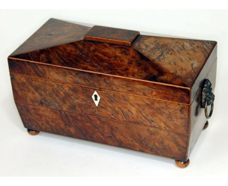 A Regency burr yew tea caddy of sarcophagus form with lion mask handles, ivory escutcheon and ball feet, fitted interior with