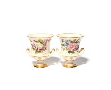 A rare pair of Sèvres miniature campana vases, early 19th century, finely painted in the botanical manner with arrangements o