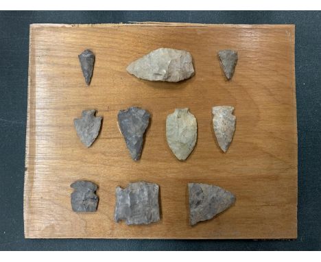 TEN FOSSIL ARROW HEADS MOUNTED ON A WOODEN BOARD 