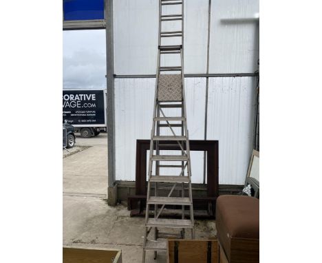 A SEVEN RUNG ALLUMINIUM STEP LADDER AND A TWO SECTION EXTENDABLE LADDER 