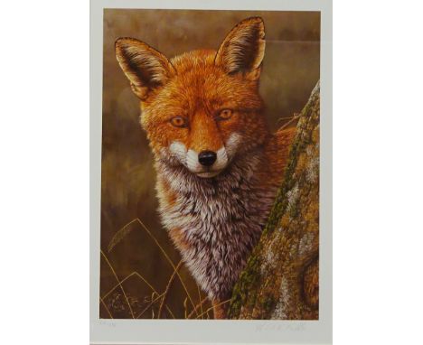 Fox at Dawn, limited edition colour print no.64/850 after Robert E Fuller (British 1972-) signed and numbered in pencil 34cm 