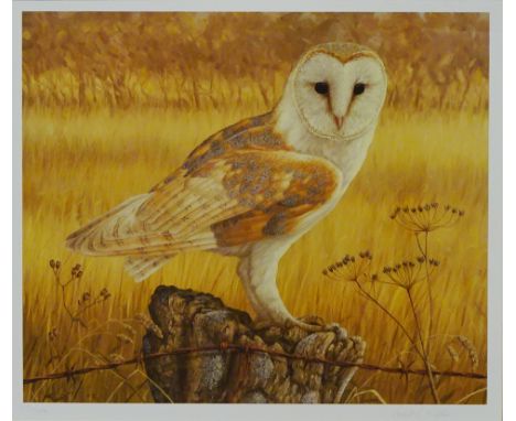 'Barn Owl at Rest', limited edition colour print no.174/850 after Robert E Fuller (British 1972-) signed and numbered in penc