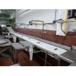 (Pre-Break) s/s frame frozen block infeed belt conveyor c/w: (3) workstation tables incline