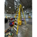 Louisville 10' Ladder, 375 LB. Capacity