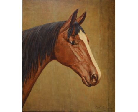 Heinz Werner van der Porten, geb. 1930 Düsseldorf,  Pferdeporträt, Öl/Lwd, rechts unten signiert, ca. 60x50cm, R. ca. 76x66cm