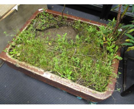 A rectangular salt glazed shallow garden trough, 12 x 61 x 46cm  