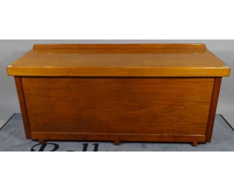An early 20th century Camphor wood ship's trunk, 151cm wide x 70cm high. 