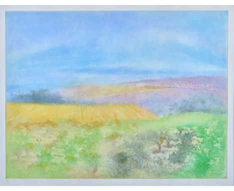 Donald Wilkinson (b.1937), From Chateauneuf towards the Rhone, Provence; From the road to Beaume de Venise, Provence; From Ch