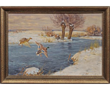 (1891 Badenhausen - 1967 Neuhaus im Solling)Fliegende Wildenten über einem winterlich verschneiten BachlaufÖl/Malkarton. R. u