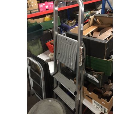 An aluminum ladder.  
