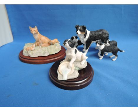 Three Border Fine Arts and similar studies, Fox RW1, Patch JH22 & Border Collie family