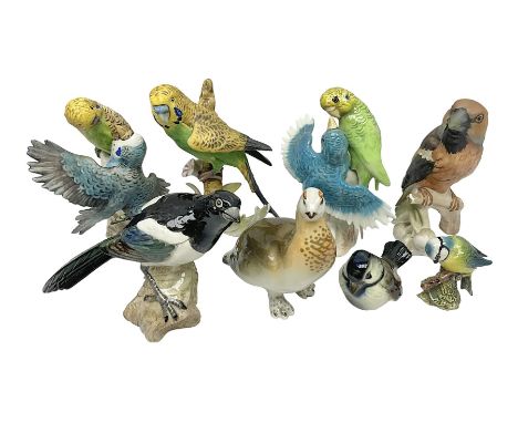 Collection of bird figures, including Beswick Magpie, Lomonosov partridge, Goebel Budgerigar etc (8)  