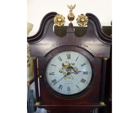 An Antique Oak Cased Long Case Clock, W. Timmis Alfretton, with enamel hand painted dial depicting a peacock, Roman numeral a