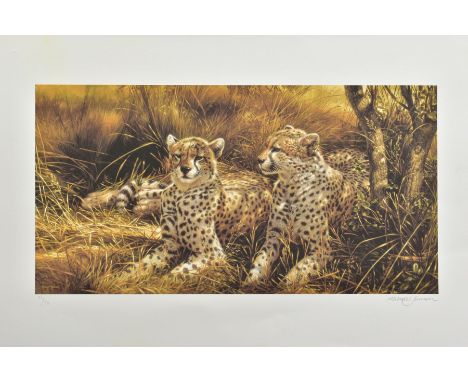 MICHAEL JACKSON (BRITISH 1961), 'Cheetah's', a Limited Edition print of Cheetah's in the shade, 71/95, signed to lower margin