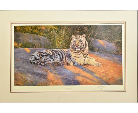 ANTHONY GIBBS (BRITISH 1951), 'The Great White Tiger', a Limited Edition print, 426/1500, signed to lower margin, mounted, un