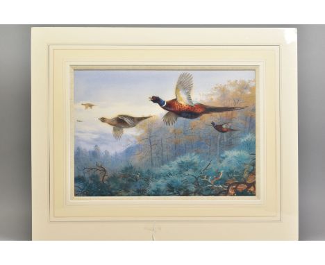 ARCHIBALD THORBURN (1860-1935), 'Pheasants in Flight', a Limited Edition print, 55/195, published by Rosenstiel's, with certi