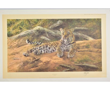 ANTHONY GIBBS (BRITISH 1951), 'Dawns First Scent', a Limited Edition print of a Leopard at rest, 1000/1100, signed to lower m