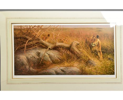DICK VAN HEERDE (DUTCH 1954), 'Serengeti Lionesses', a Limited Edition print, 324/395, signed to lower margin, mounted, unfra