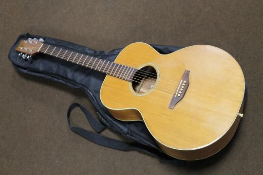 washburn guitar by serial number
