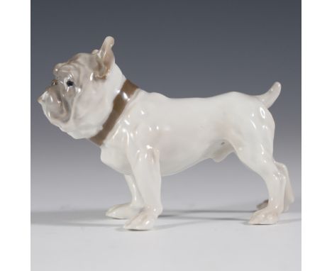 DESCRIPTION: Bing & Grondahl Denmark porcelain figurine of a hand painted muscular bulldog. Finished with a glossed glaze and