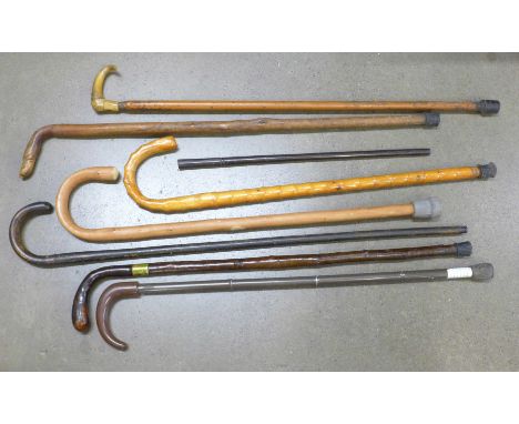A collection of walking sticks and a swagger stick 