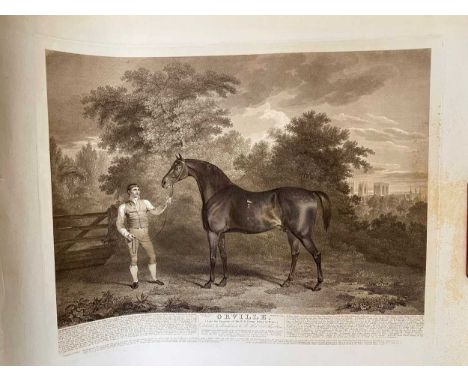 Collection of loose and unframed prints and engravings. J Scott after C Tomson, Orville, engraving, foxing to right margin; L