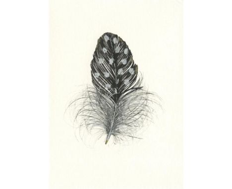 
	
		Helen Walsh
		Spotty Feather
		Pen and Ink on Paper
		Signed on Verso
		15 x 10cm (5¾ x 3¾ in.)
		About
		I am fascinate