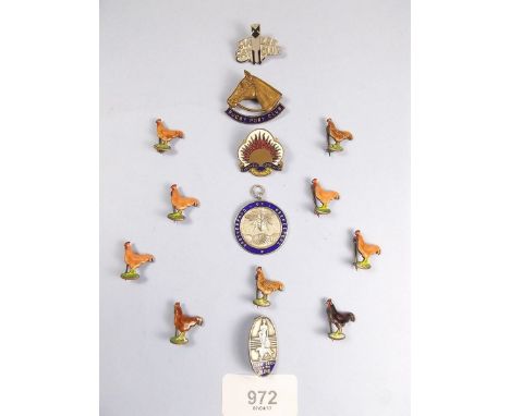 A group of assorted enamel badges for Pony Club, Siamese Cat Club, Chickens, Guide Dogs etc. 
